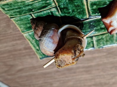 投稿画像53