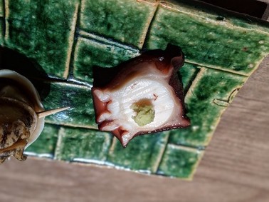 投稿画像54