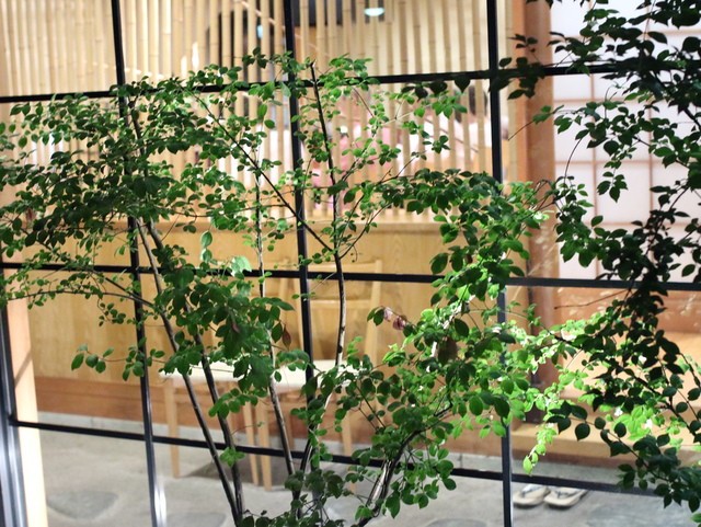 投稿画像21