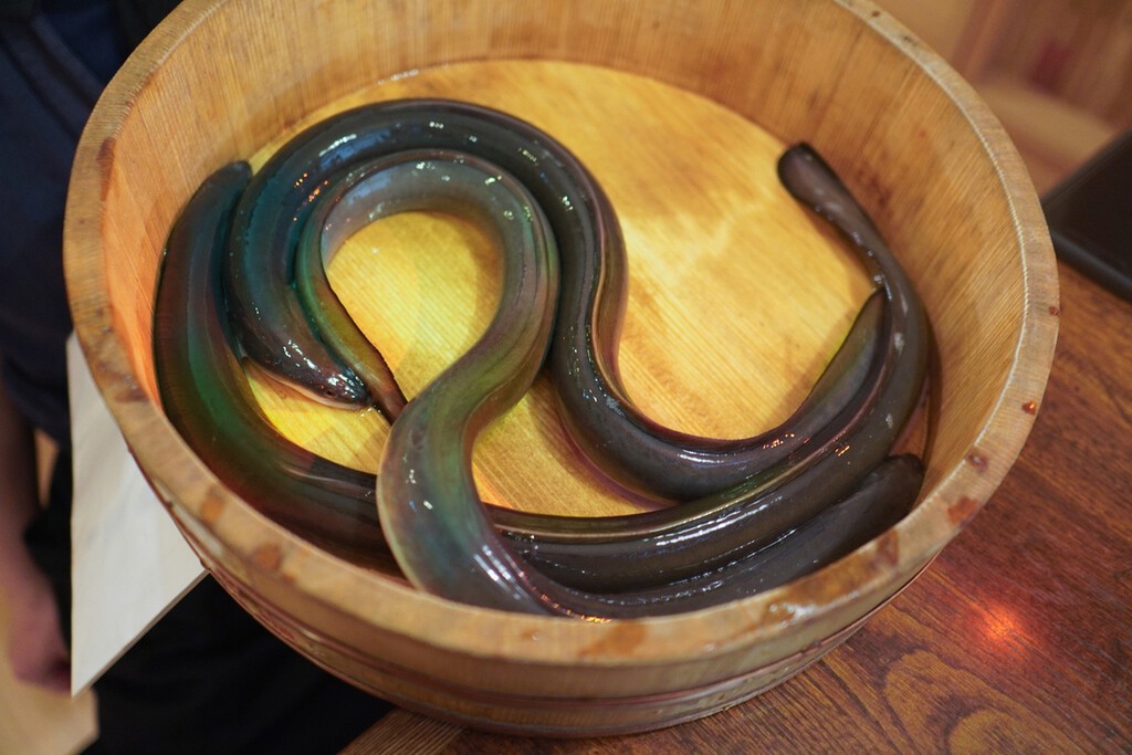 投稿画像1