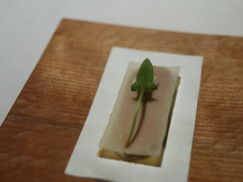 投稿画像20