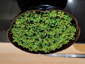 投稿画像68