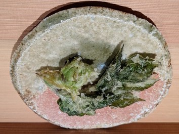 投稿画像81
